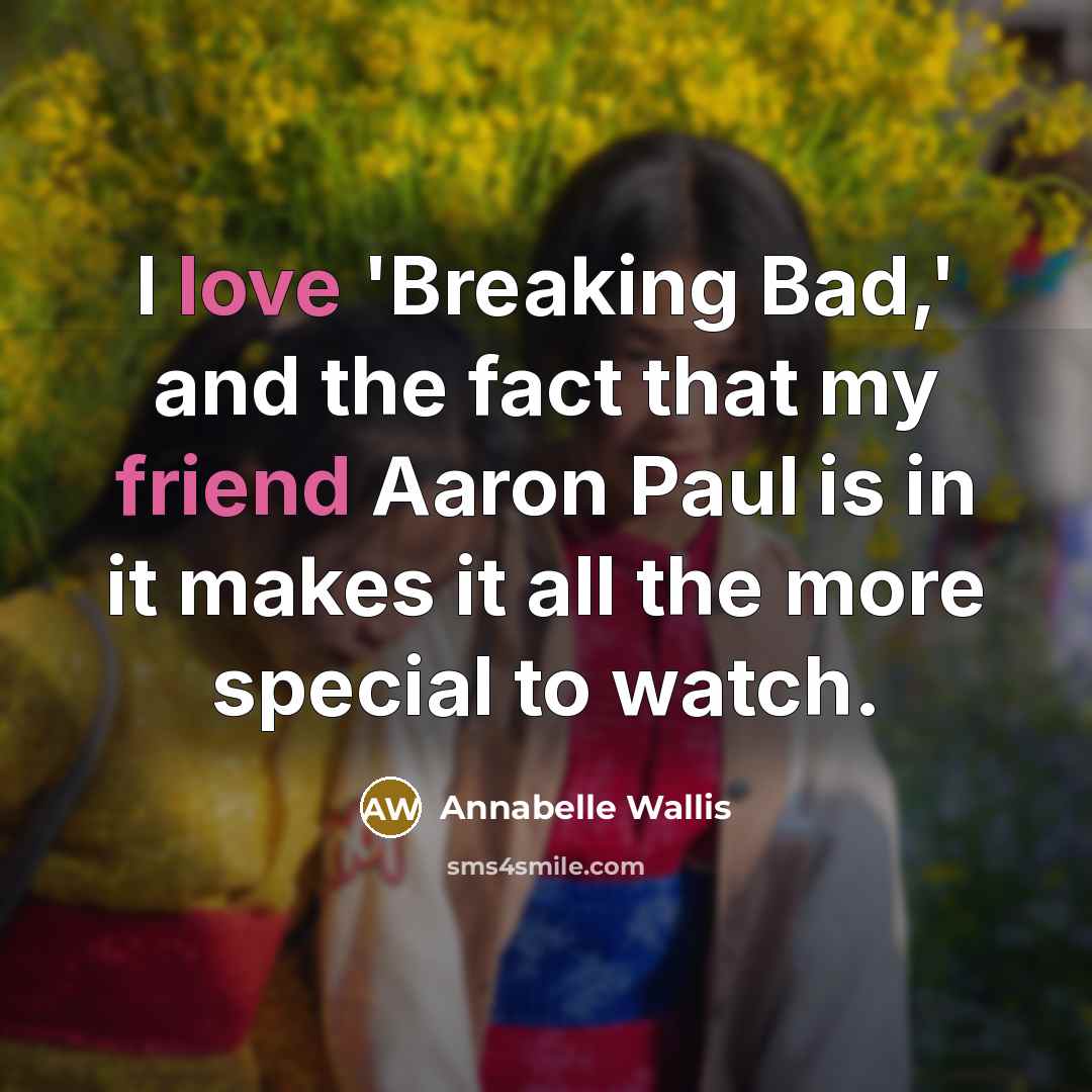 “I love 'Breaking Bad,' and the fact that my friend Aaron Paul is in it makes it all the more special to watch.” quote by Annabelle Wallis