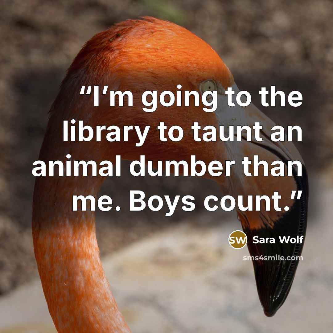 “I’m going to the library to taunt an animal dumber than me. Boys count.” quote by Sara Wolf