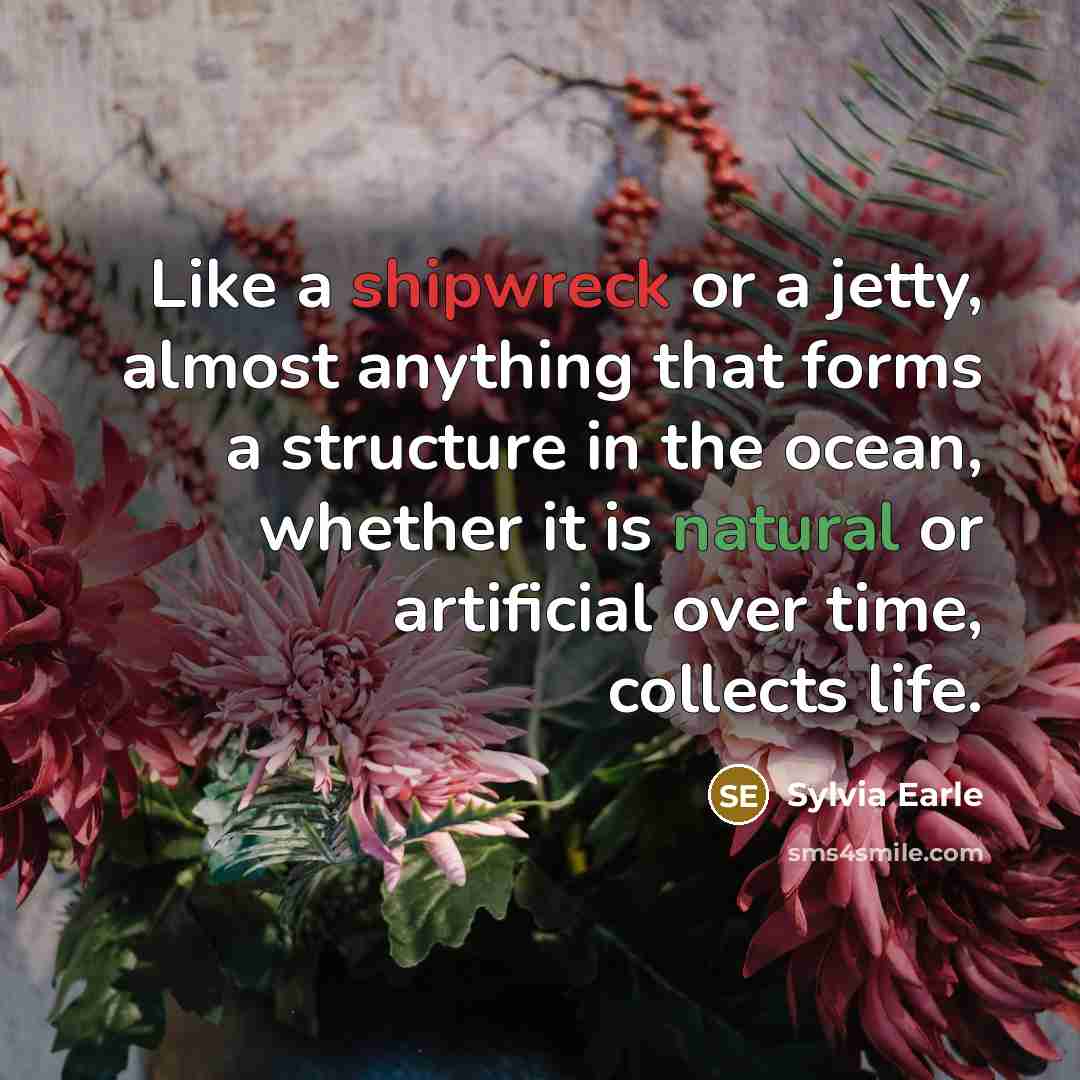“Like a shipwreck or a jetty, almost anything that forms a structure in the ocean, whether it is natural or artificial over time, collects life.” quote by Sylvia Earle