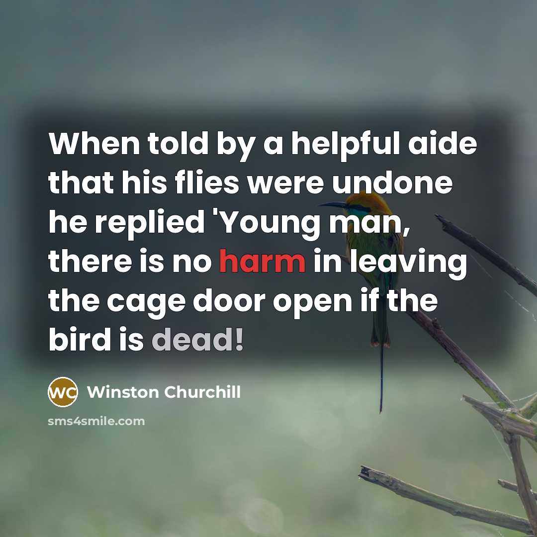 “When told by a helpful aide that his flies were undone he replied 'Young man, there is no harm in leaving the cage door open if the bird is dead!” quote by Winston Churchill