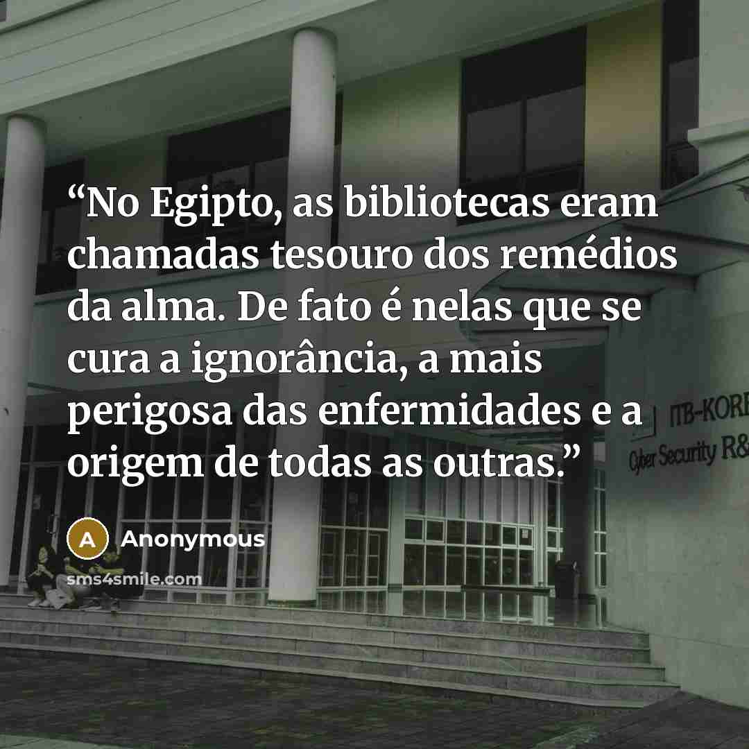 “No Egipto, as bibliotecas eram chamadas tesouro dos remédios da alma. De fato é nelas que se cura a ignorância, a mais perigosa das enfermidades e a origem de todas as outras.” quote by Anonymous