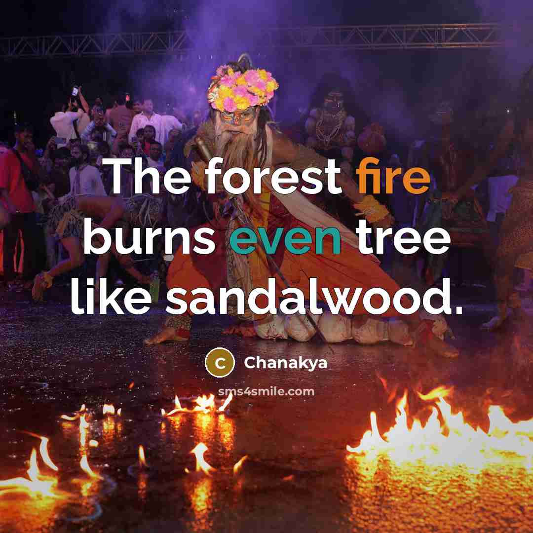 “The forest fire burns even tree like sandalwood.” quote by Chanakya