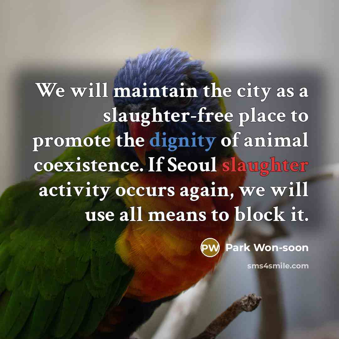 “We will maintain the city as a slaughter-free place to promote the dignity of animal coexistence. If Seoul slaughter activity occurs again, we will use all means to block it.” quote by Park Won-soon