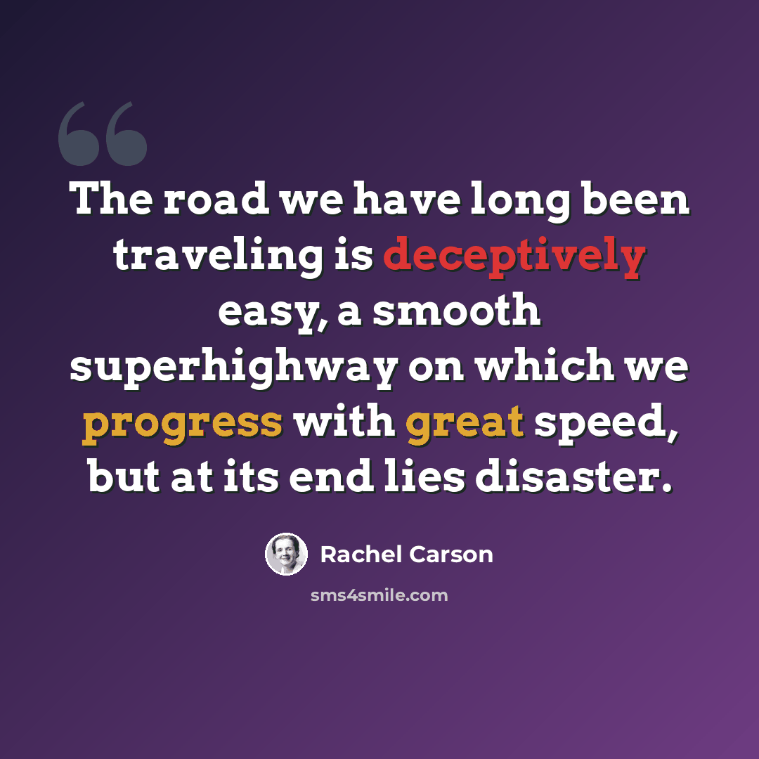 “The road we have long been traveling is deceptively easy, a smooth superhighway on which we progress with great speed, but at its end lies disaster.” quote by Rachel Carson