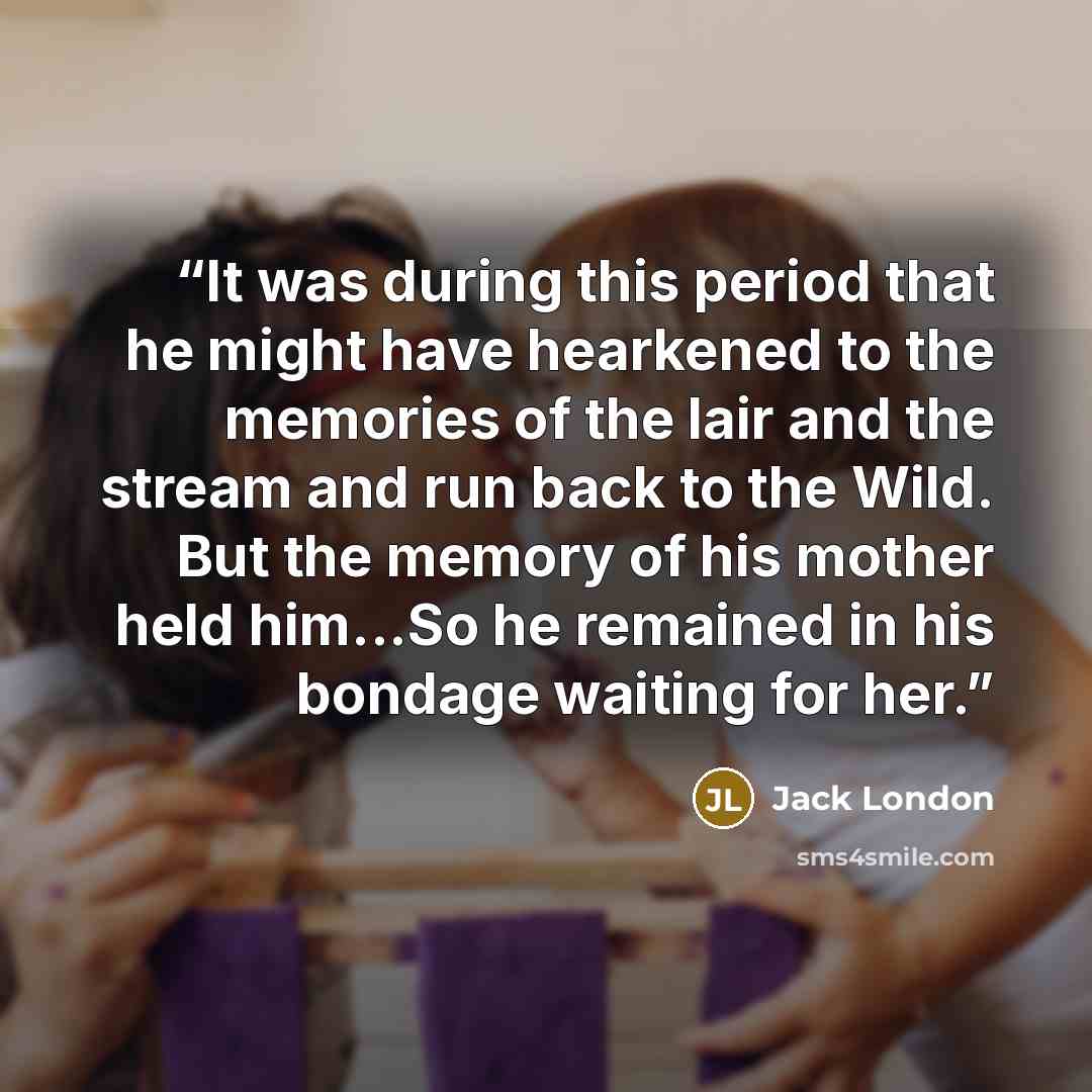 “It was during this period that he might have hearkened to the memories of the lair and the stream and run back to the Wild. But the memory of his mother held him...So he remained in his bondage waiting for her.” quote by Jack London