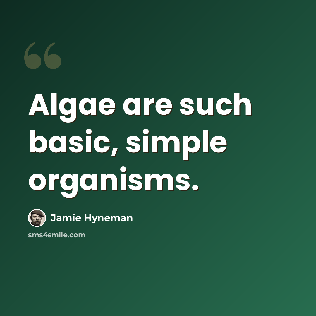 “Algae are such basic, simple organisms.” quote by Jamie Hyneman