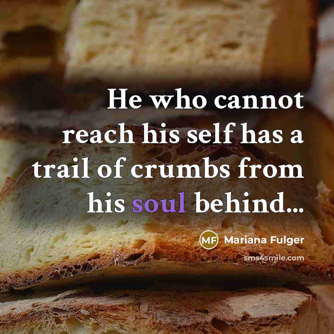 “He who cannot reach his self has a trail of crumbs from his soul behind...” quote by Mariana Fulger