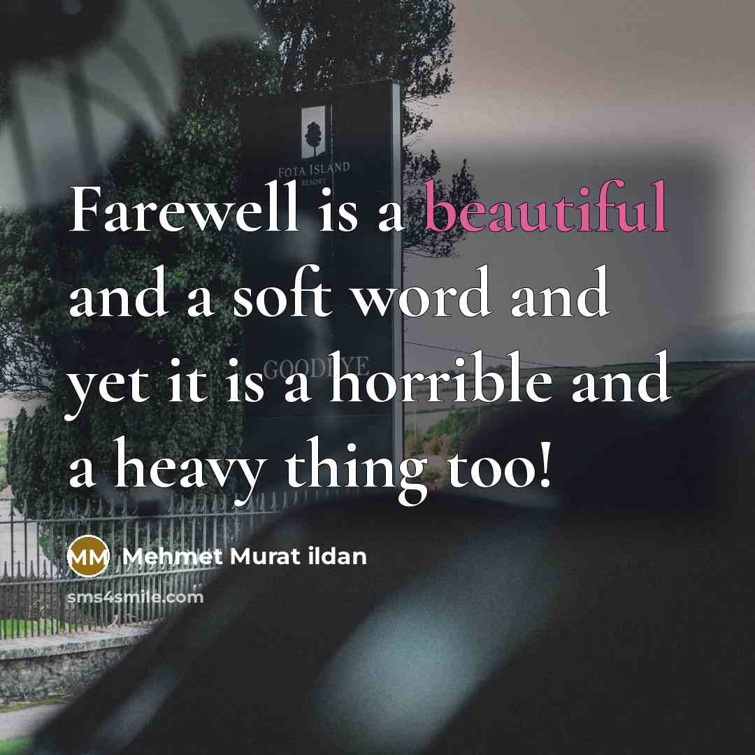 “Farewell is a beautiful and a soft word and yet it is a horrible and a heavy thing too!” quote by Mehmet Murat Ildan