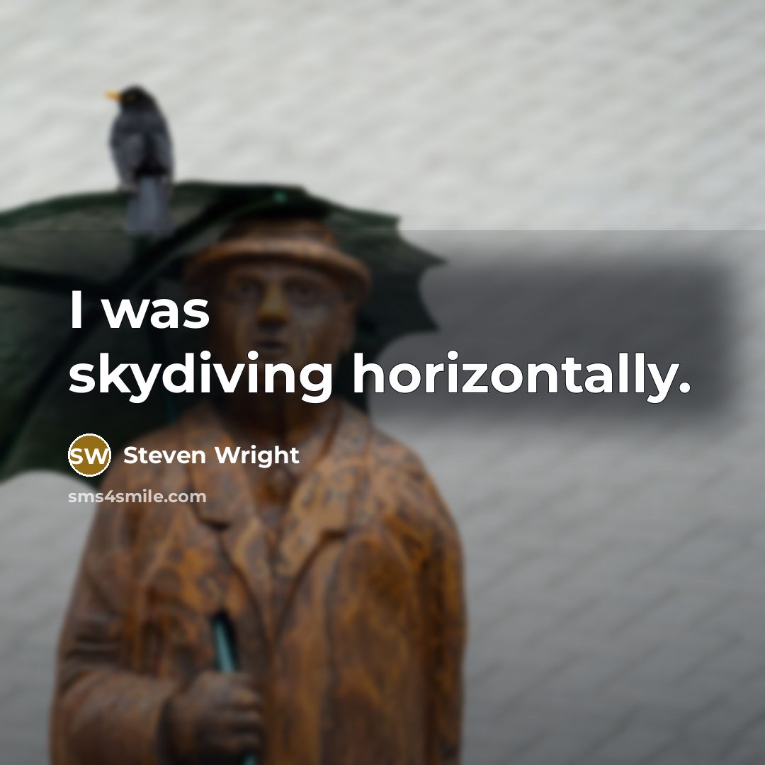 “I was skydiving horizontally.” quote by Steven Wright