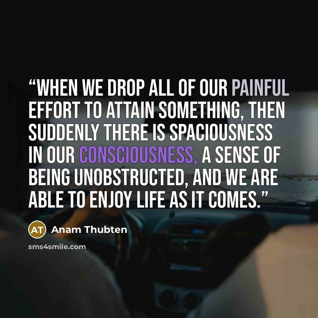 “When we drop all of our painful effort to attain something, then suddenly there is spaciousness in our consciousness, a sense of being unobstructed, and we are able to enjoy life as it comes.” quote by Anam Thubten
