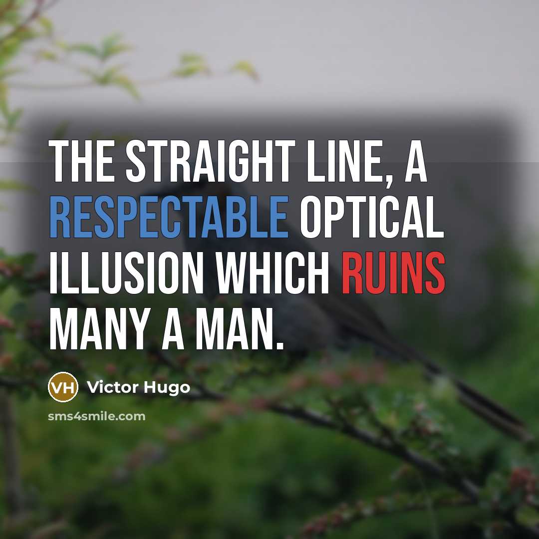 “The straight line, a respectable optical illusion which ruins many a man.” quote by Victor Hugo