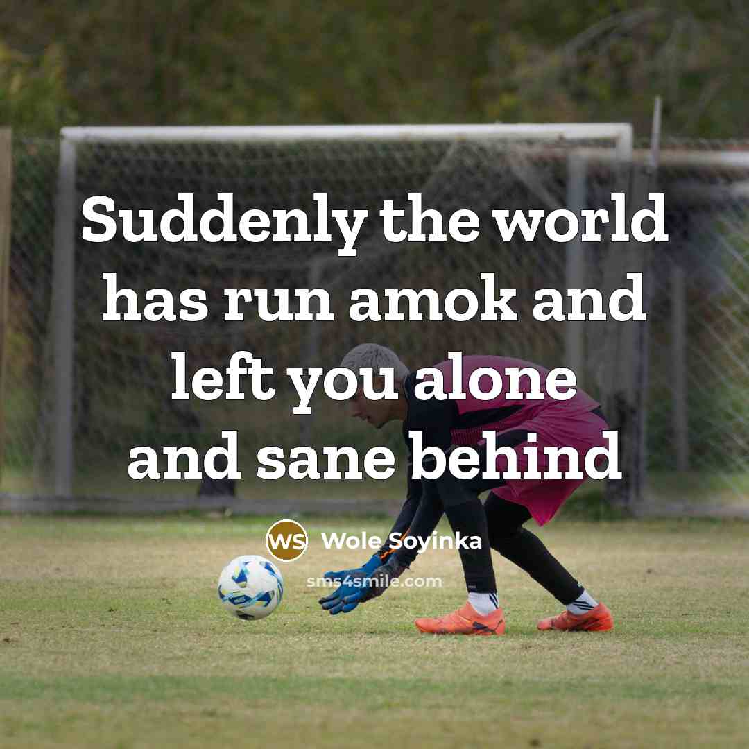“Suddenly the world has run amok and left you alone and sane behind” quote by Wole Soyinka