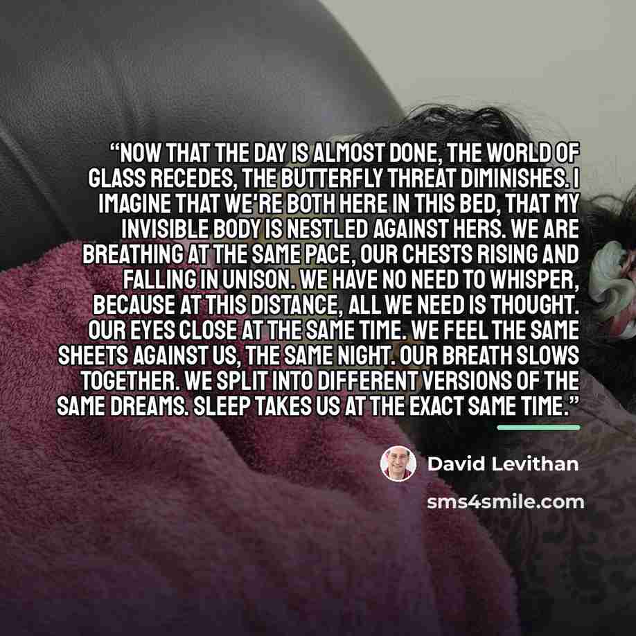 “Now that the day is almost done, the world of glass recedes, the butterfly threat diminishes. I imagine that we're both here in this bed, that my invisible body is nestled against hers. We are breathing at the same pace, our chests rising and falling in unison. We have no need to whisper, because…” quote by David Levithan