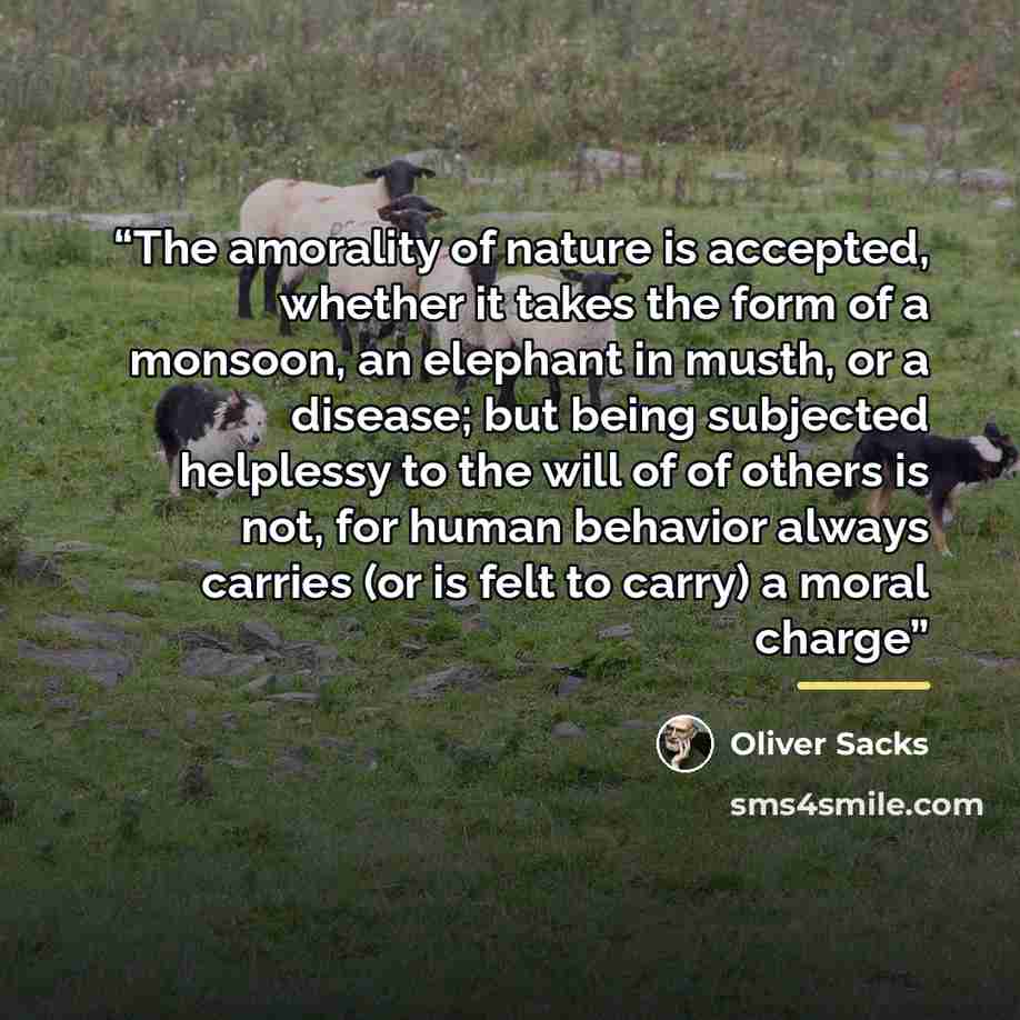 “The amorality of nature is accepted, whether it takes the form of a monsoon, an elephant in musth, or a disease; but being subjected helplessy to the will of of others is not, for human behavior always carries (or is felt to carry) a moral charge” quote by Oliver Sacks