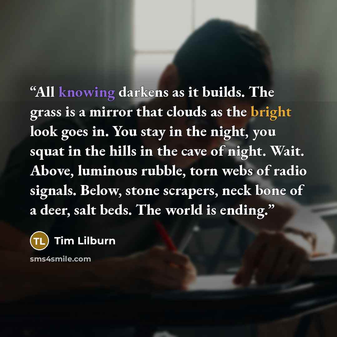 “All knowing darkens as it builds. The grass is a mirror that clouds as the bright look goes in. You stay in the night, you squat in the hills in the cave of night. Wait. Above, luminous rubble, torn webs of radio signals. Below, stone scrapers, neck bone of a deer, salt beds. The world is ending.” quote by Tim Lilburn