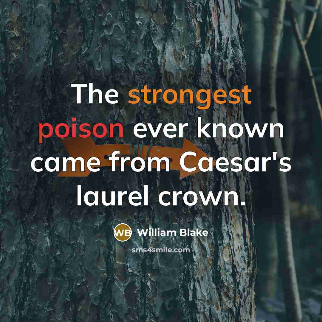 “The strongest poison ever known came from Caesar's laurel crown.” quote by William Blake