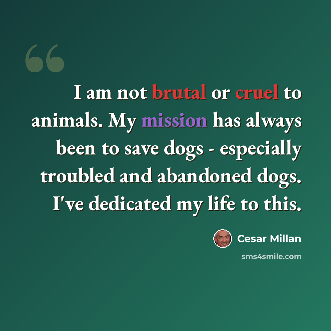 “I am not brutal or cruel to animals. My mission has always been to save dogs - especially troubled and abandoned dogs. I've dedicated my life to this.” quote by Cesar Millan