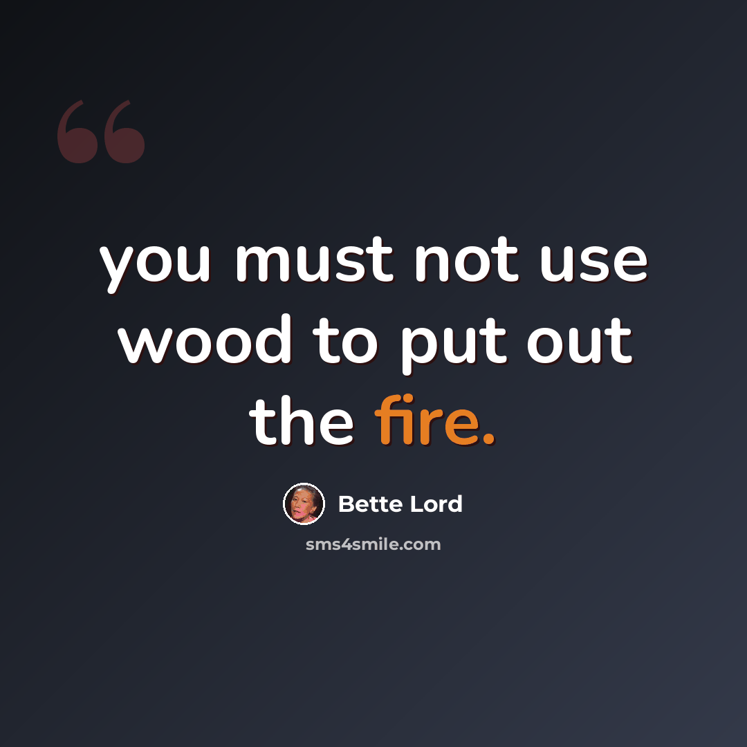 “you must not use wood to put out the fire.” quote by Bette Lord