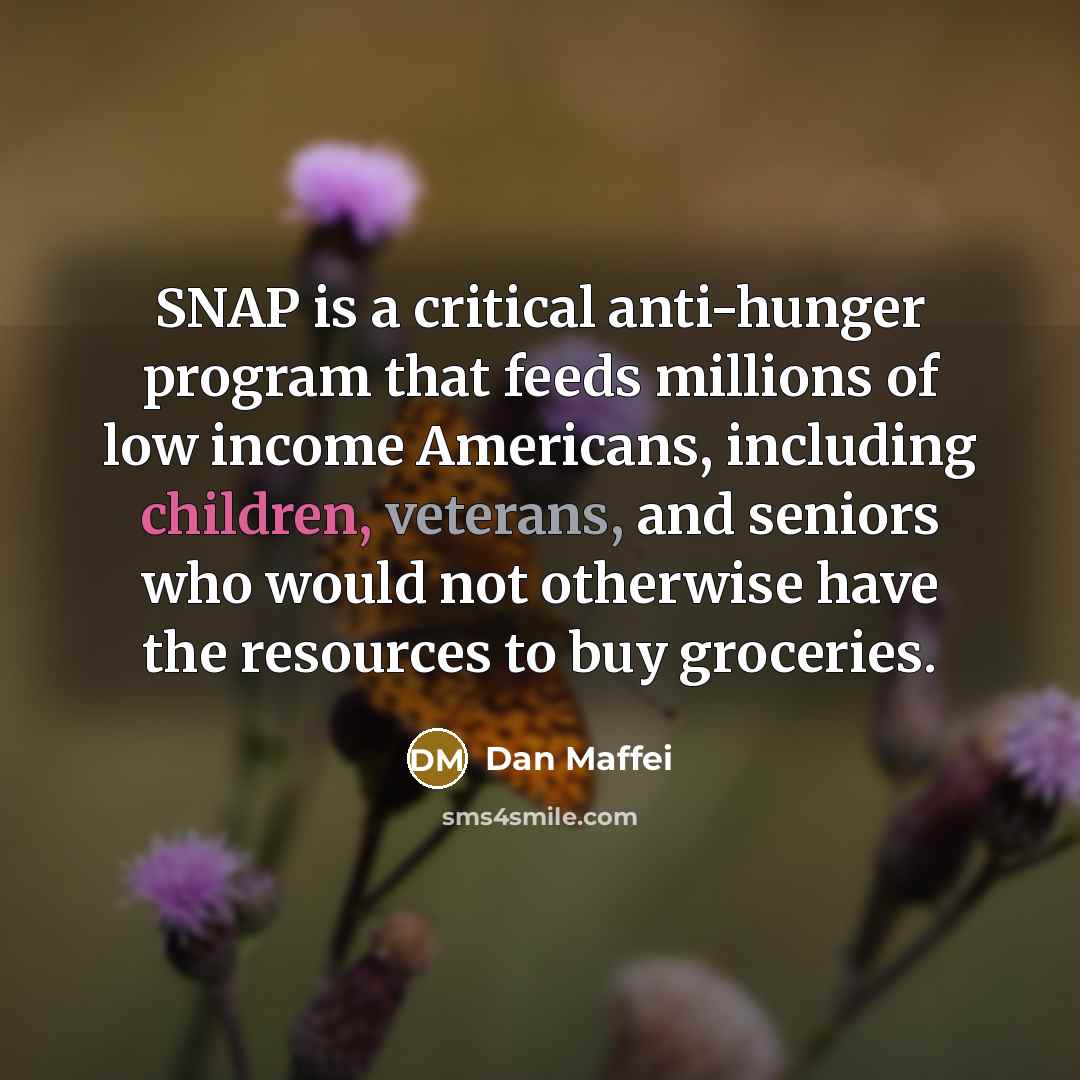 “SNAP is a critical anti-hunger program that feeds millions of low income Americans, including children, veterans, and seniors who would not otherwise have the resources to buy groceries.” quote by Dan Maffei
