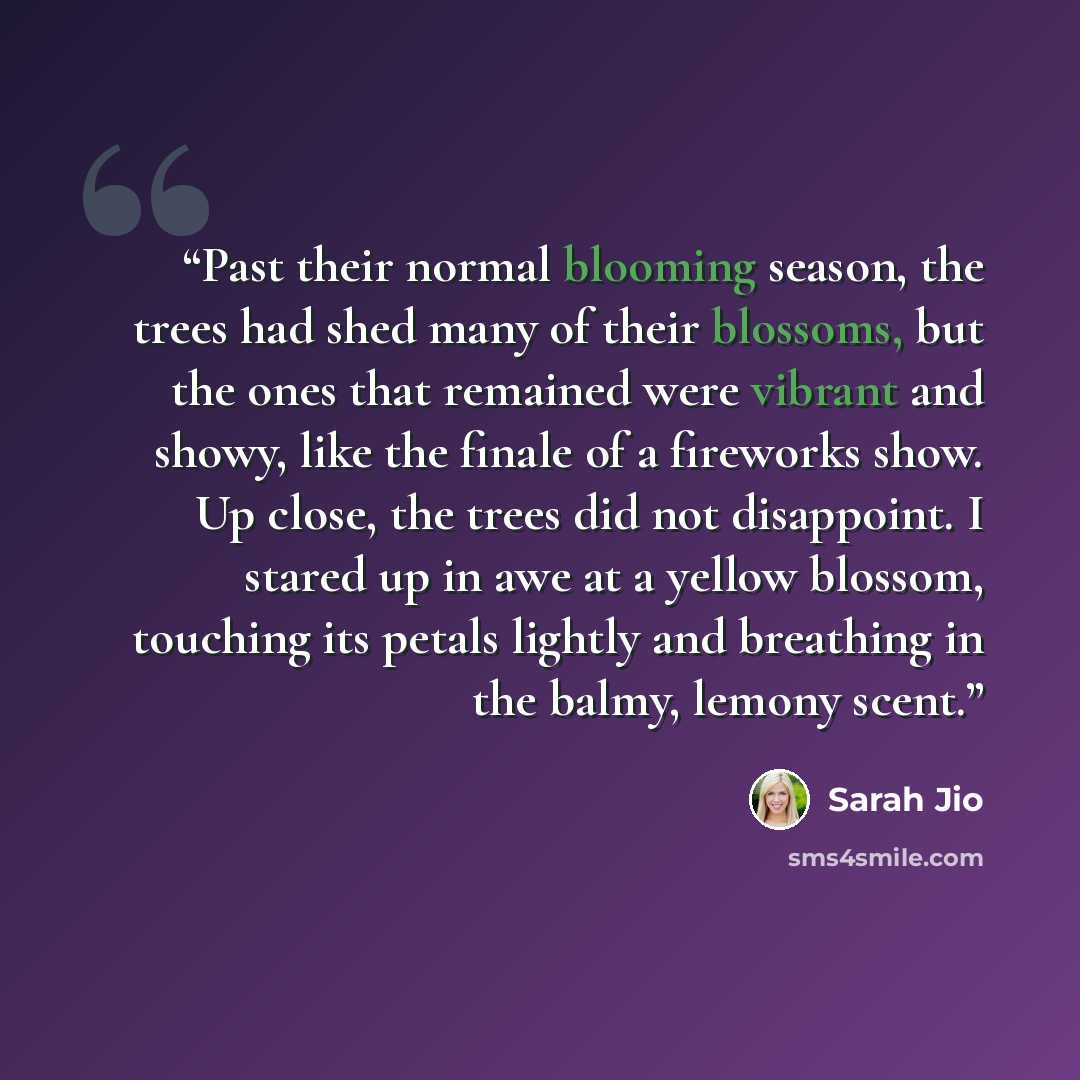 “Past their normal blooming season, the trees had shed many of their blossoms, but the ones that remained were vibrant and showy, like the finale of a fireworks show. Up close, the trees did not disappoint. I stared up in awe at a yellow blossom, touching its petals lightly and breathing in the…” quote by Sarah Jio