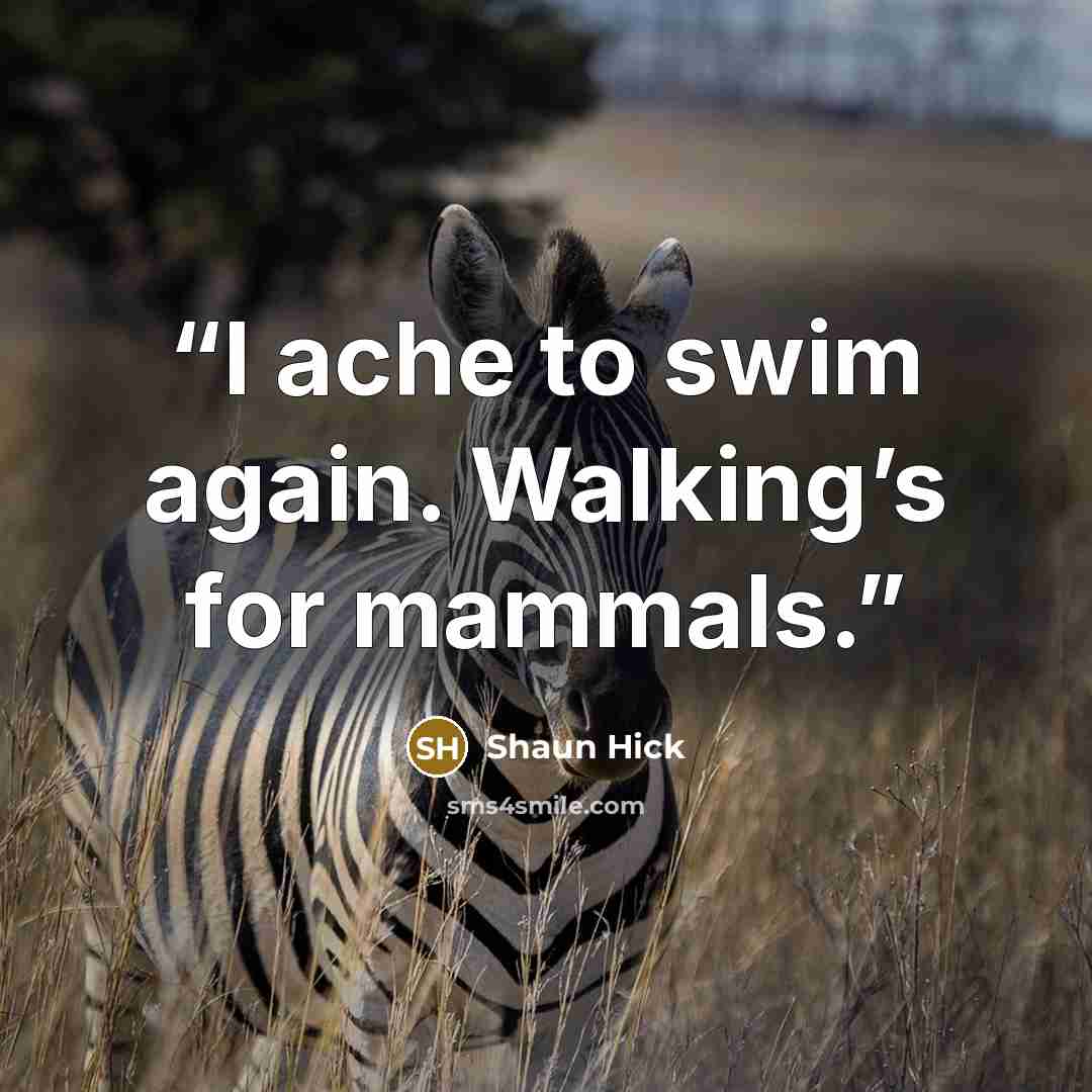 “I ache to swim again. Walking’s for mammals.” quote by Shaun Hick