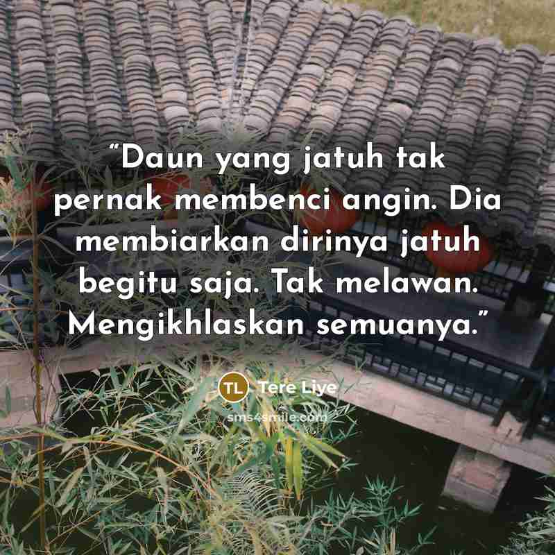 “Daun yang jatuh tak pernak membenci angin. Dia membiarkan dirinya jatuh begitu saja. Tak melawan. Mengikhlaskan semuanya.” quote by Tere Liye