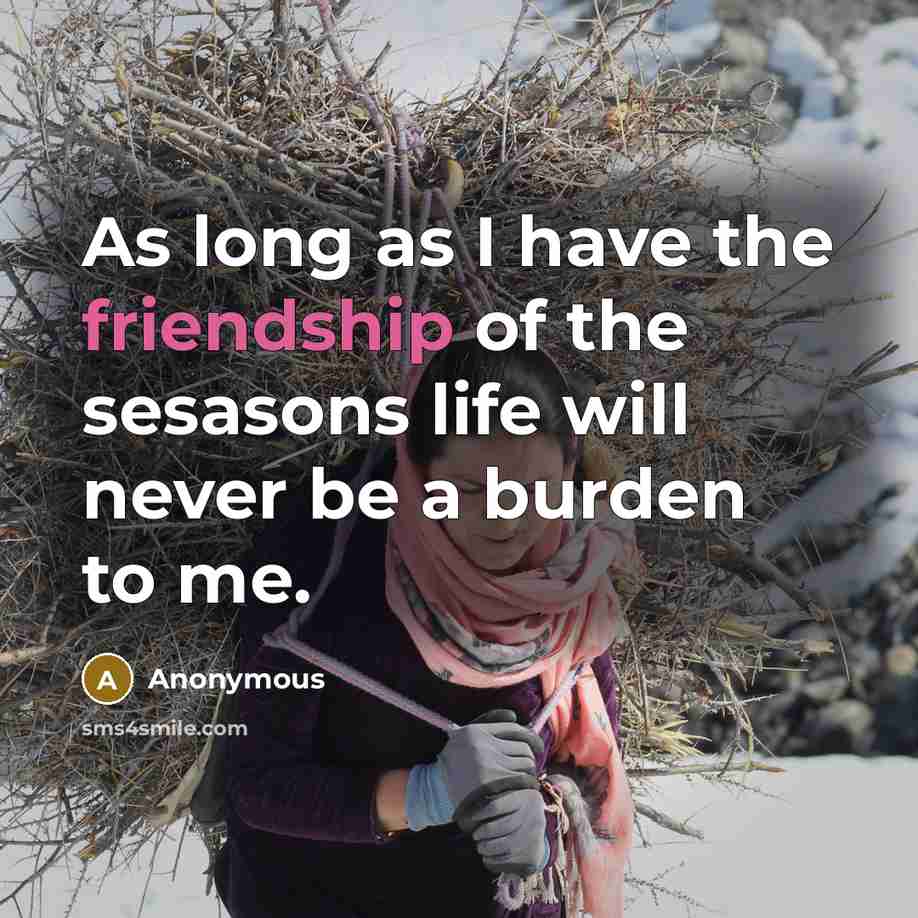 “As long as I have the friendship of the sesasons life will never be a burden to me.” quote by Anonymous