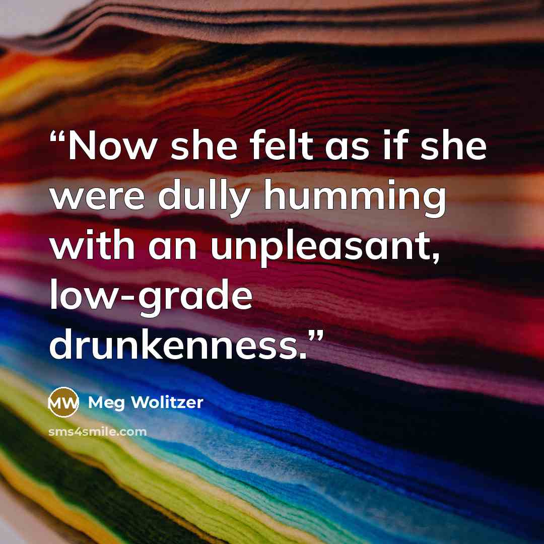 “Now she felt as if she were dully humming with an unpleasant, low-grade drunkenness.” quote by Meg Wolitzer