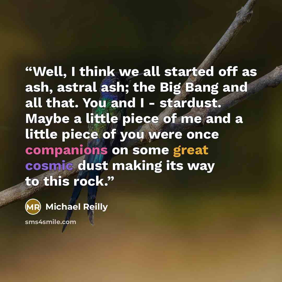 “Well, I think we all started off as ash, astral ash; the Big Bang and all that. You and I - stardust. Maybe a little piece of me and a little piece of you were once companions on some great cosmic dust making its way to this rock.” quote by Michael Reilly