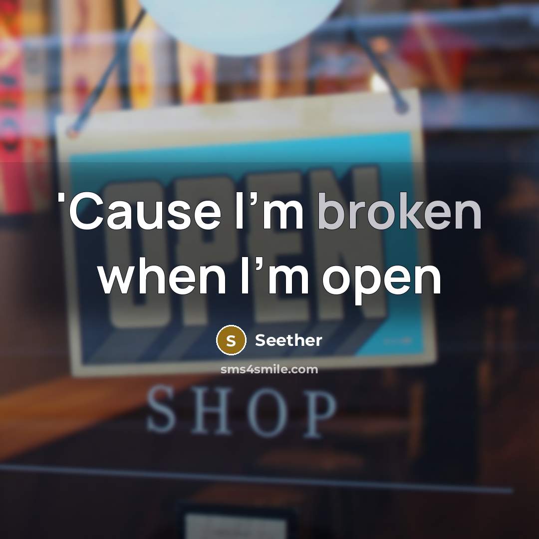 “'Cause I'm broken when I'm open” quote by Seether