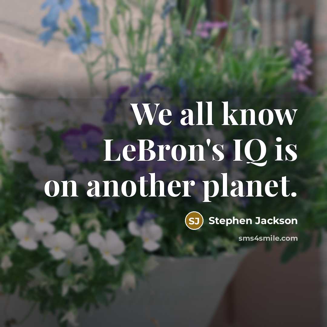 “We all know LeBron's IQ is on another planet.” quote by Stephen Jackson