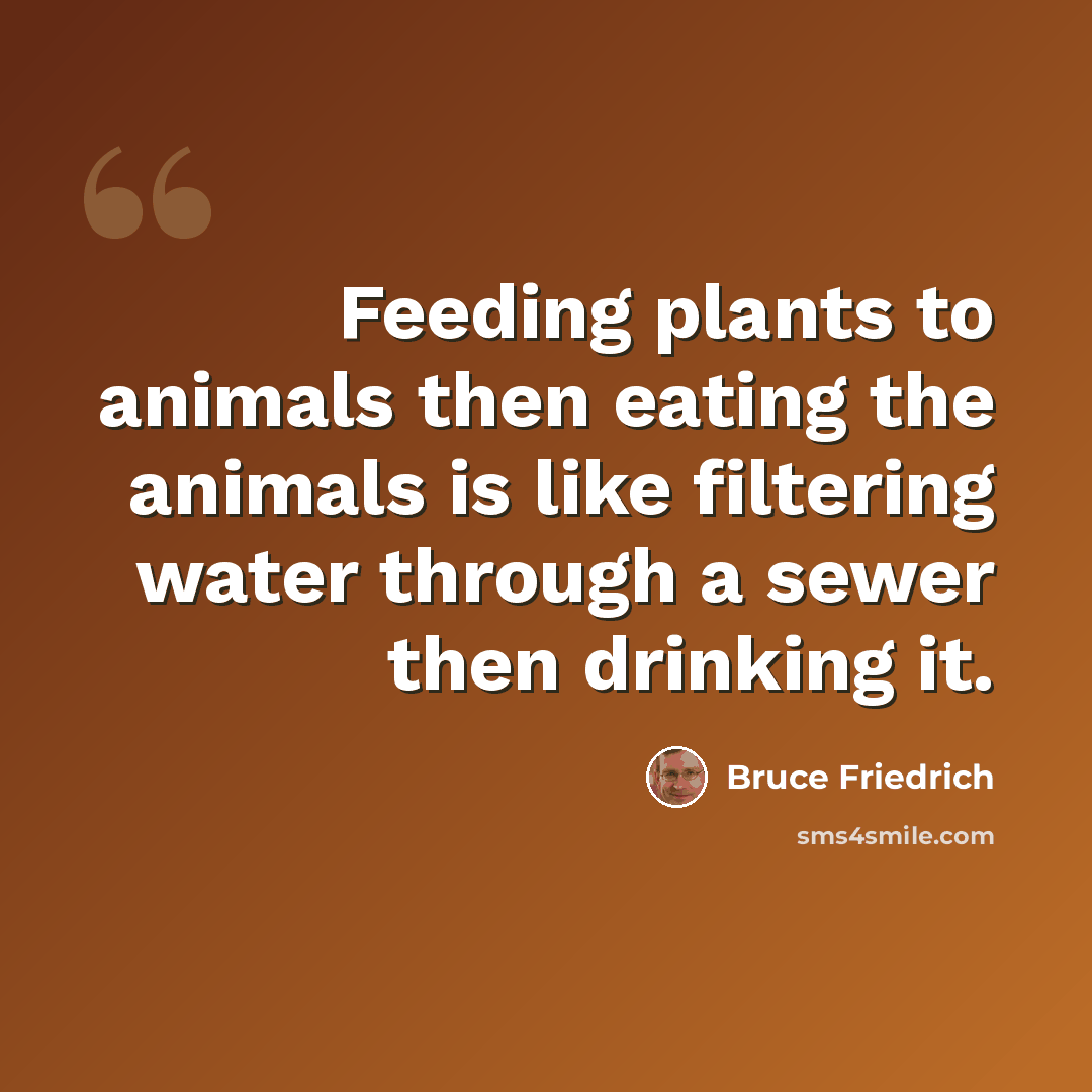 “Feeding plants to animals then eating the animals is like filtering water through a sewer then drinking it.” quote by Bruce Friedrich