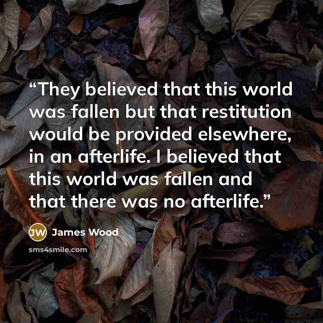“They believed that this world was fallen but that restitution would be provided elsewhere, in an afterlife. I believed that this world was fallen and that there was no afterlife.” quote by James Wood