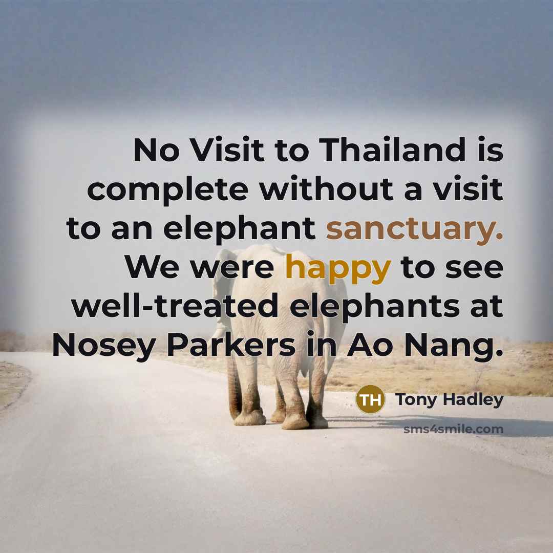 “No Visit to Thailand is complete without a visit to an elephant sanctuary. We were happy to see well-treated elephants at Nosey Parkers in Ao Nang.” quote by Tony Hadley