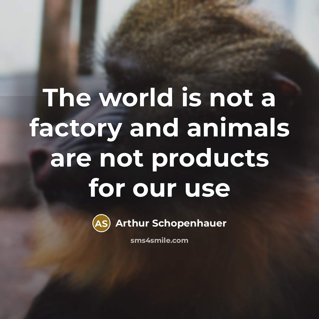 “The world is not a factory and animals are not products for our use” quote by Arthur Schopenhauer