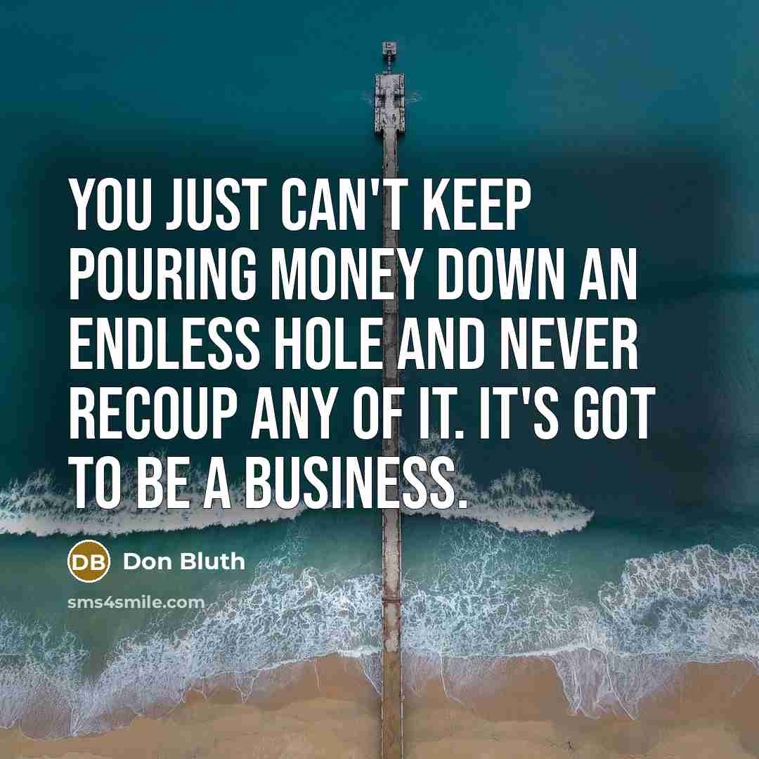 “You just can't keep pouring money down an endless hole and never recoup any of it. It's got to be a business.” quote by Don Bluth