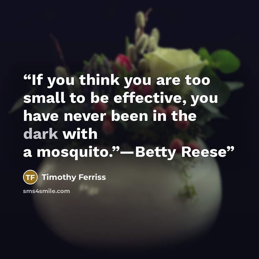 “If you think you are too small to be effective, you have never been in the dark with a mosquito.”—Betty Reese” quote by Timothy Ferriss