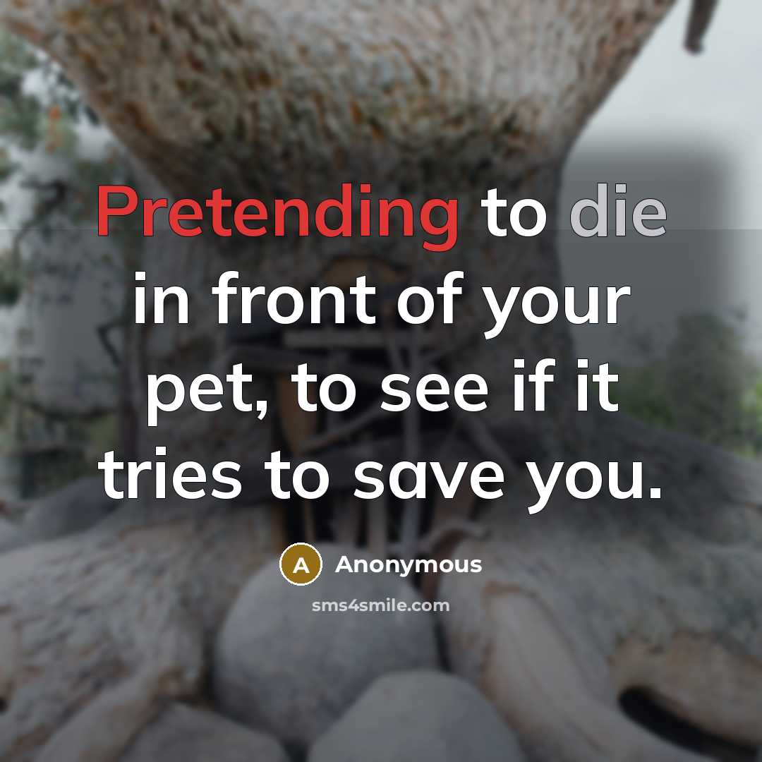 “Pretending to die in front of your pet, to see if it tries to save you.” quote by Anonymous