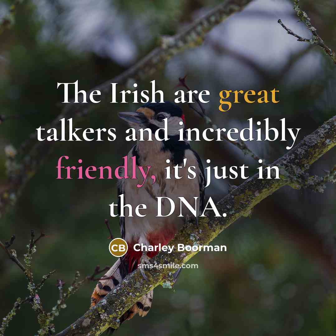 “The Irish are great talkers and incredibly friendly, it's just in the DNA.” quote by Charley Boorman