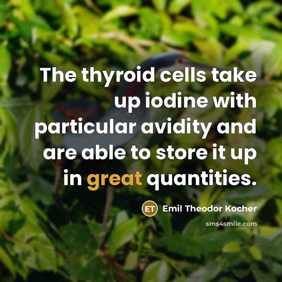 “The thyroid cells take up iodine with particular avidity and are able to store it up in great quantities.” quote by Emil Theodor Kocher