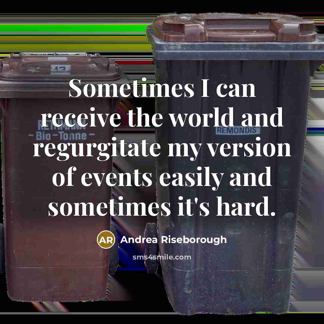 “Sometimes I can receive the world and regurgitate my version of events easily and sometimes it's hard.” quote by Andrea Riseborough