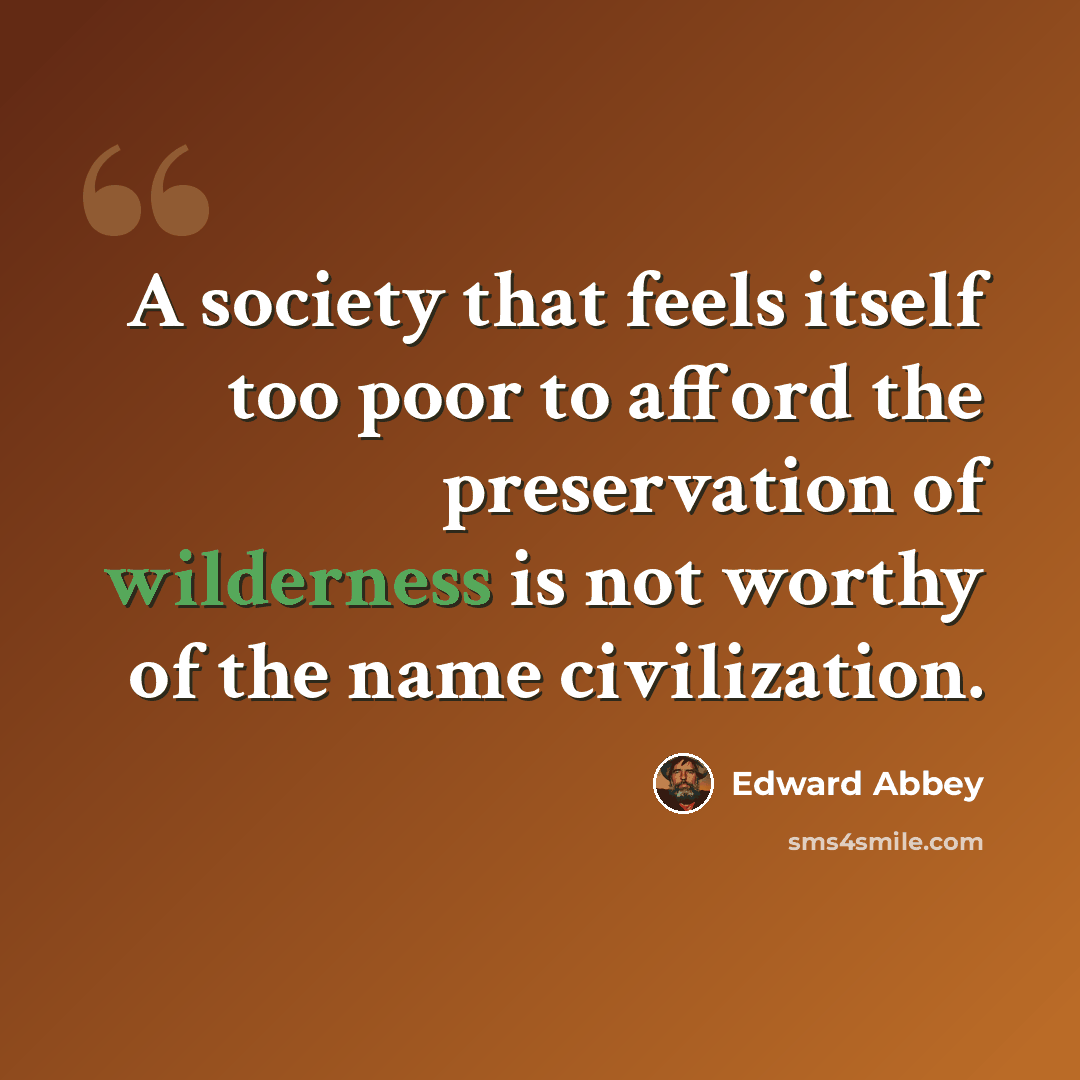 “A society that feels itself too poor to afford the preservation of wilderness is not worthy of the name civilization.” quote by Edward Abbey