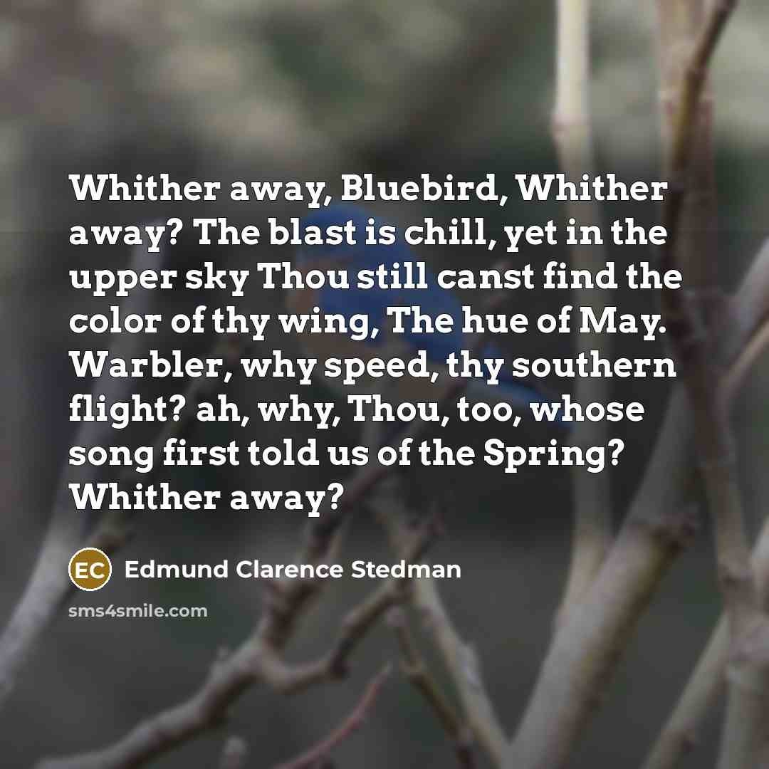 “Whither away, Bluebird, Whither away? The blast is chill, yet in the upper sky Thou still canst find the color of thy wing, The hue of May. Warbler, why speed, thy southern flight? ah, why, Thou, too, whose song first told us of the Spring? Whither away?” quote by Edmund Clarence Stedman