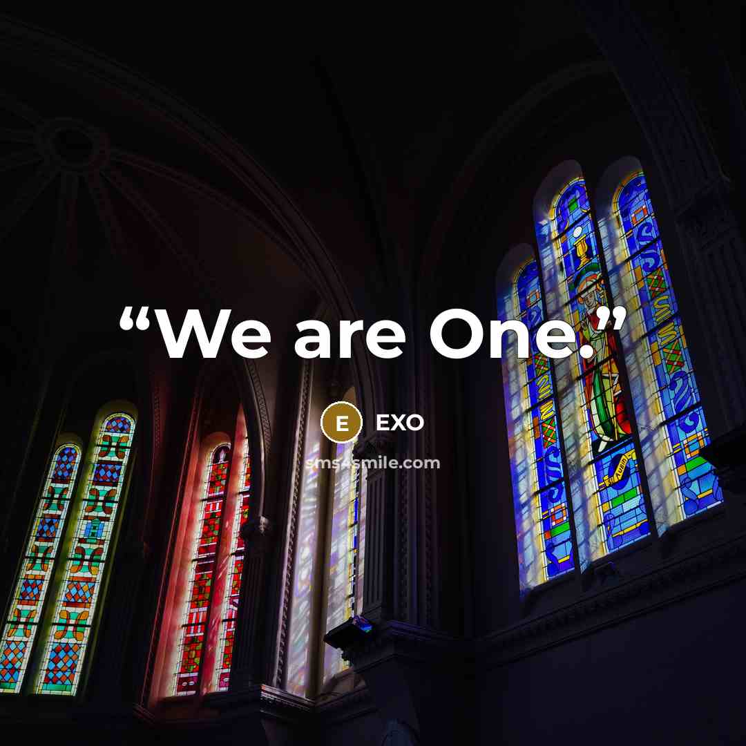 “We are One.” quote by EXO