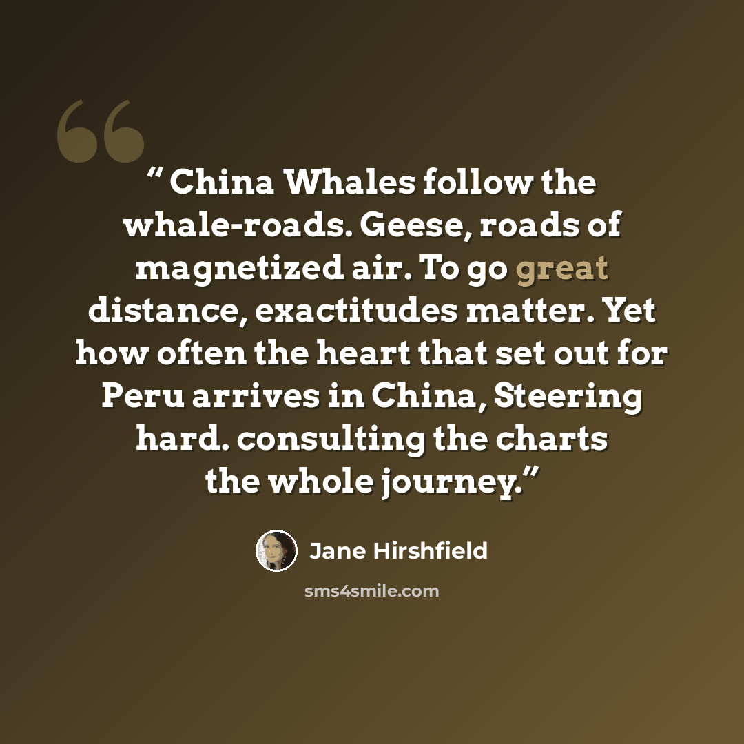 “China Whales follow the whale-roads. Geese, roads of magnetized air. To go great distance, exactitudes matter. Yet how often the heart that set out for Peru arrives in China, Steering hard. consulting the charts the whole journey.” quote by Jane Hirshfield