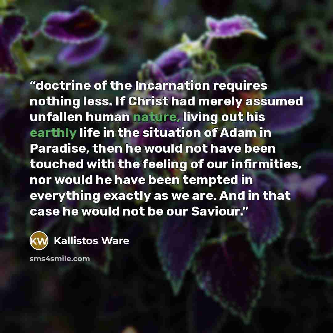 “doctrine of the Incarnation requires nothing less. If Christ had merely assumed unfallen human nature, living out his earthly life in the situation of Adam in Paradise, then he would not have been touched with the feeling of our infirmities, nor would he have been tempted in everything exactly as…” quote by Kallistos Ware