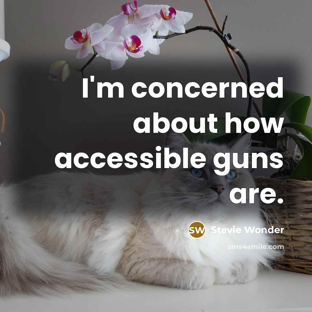 “I'm concerned about how accessible guns are.” quote by Stevie Wonder