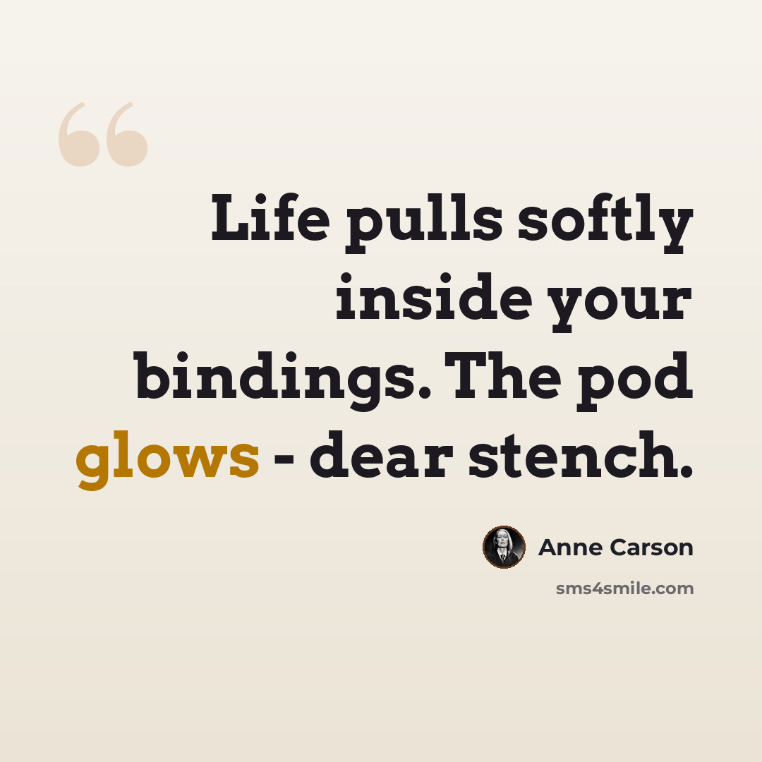 “Life pulls softly inside your bindings. The pod glows - dear stench.” quote by Anne Carson