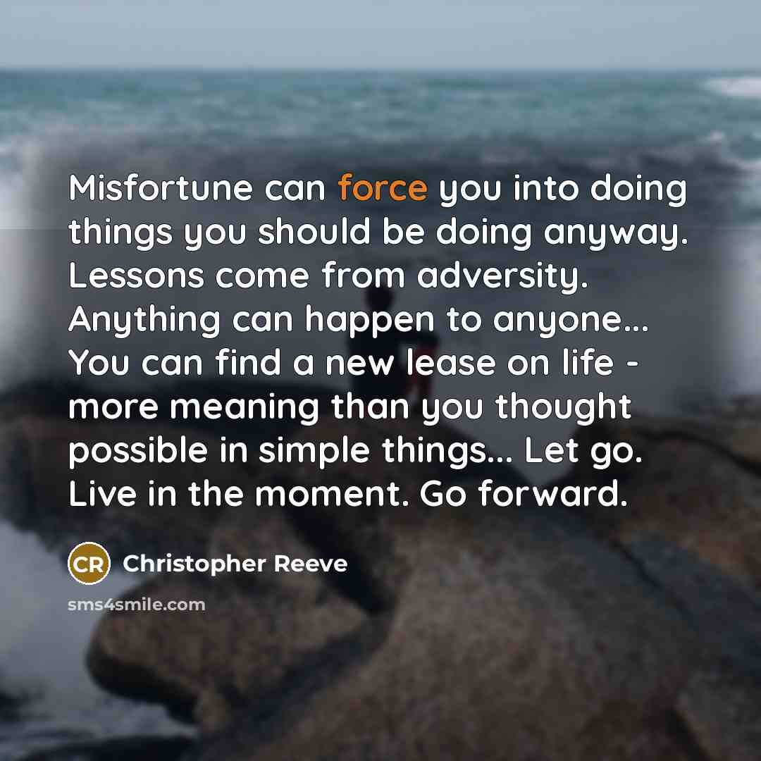 “Misfortune can force you into doing things you should be doing anyway. Lessons come from adversity. Anything can happen to anyone... You can find a new lease on life - more meaning than you thought possible in simple things... Let go. Live in the moment. Go forward.” quote by Christopher Reeve