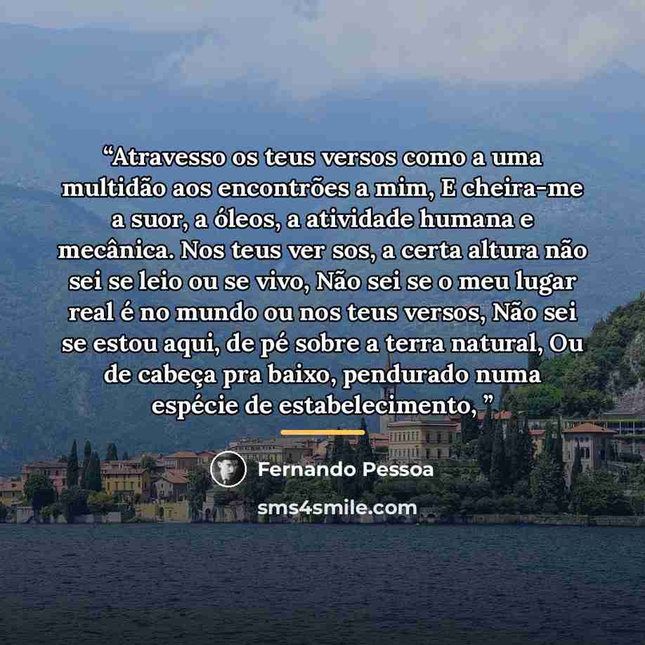 “Atravesso os teus versos como a uma multidão aos encontrões a mim, E cheira-me a suor, a óleos, a atividade humana e mecânica. Nos teus ver sos, a certa altura não sei se leio ou se vivo, Não sei se o meu lugar real é no mundo ou nos teus versos, Não sei se estou aqui, de pé sobre a terra natural…” quote by Fernando Pessoa